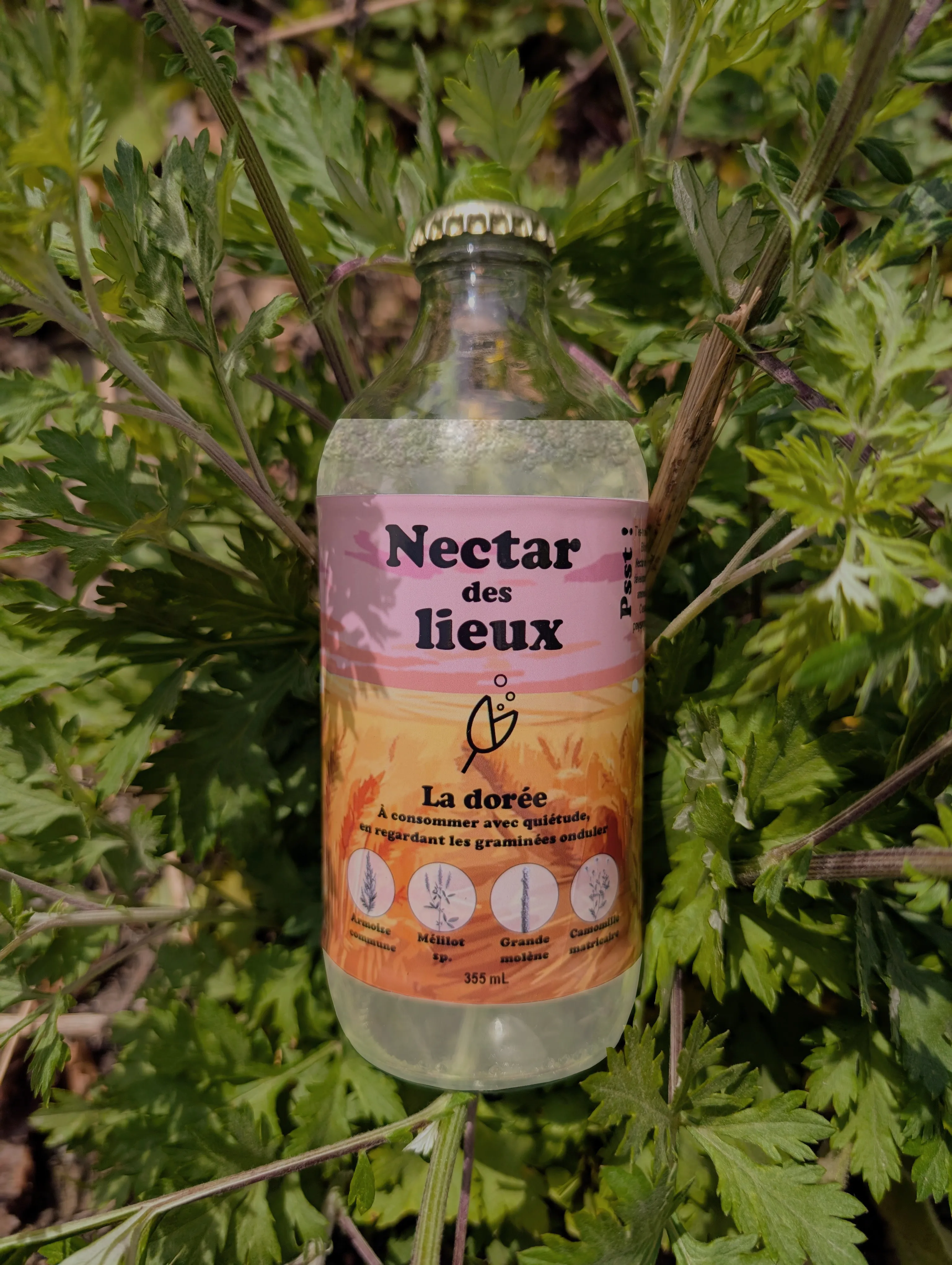 Nectar des lieux
