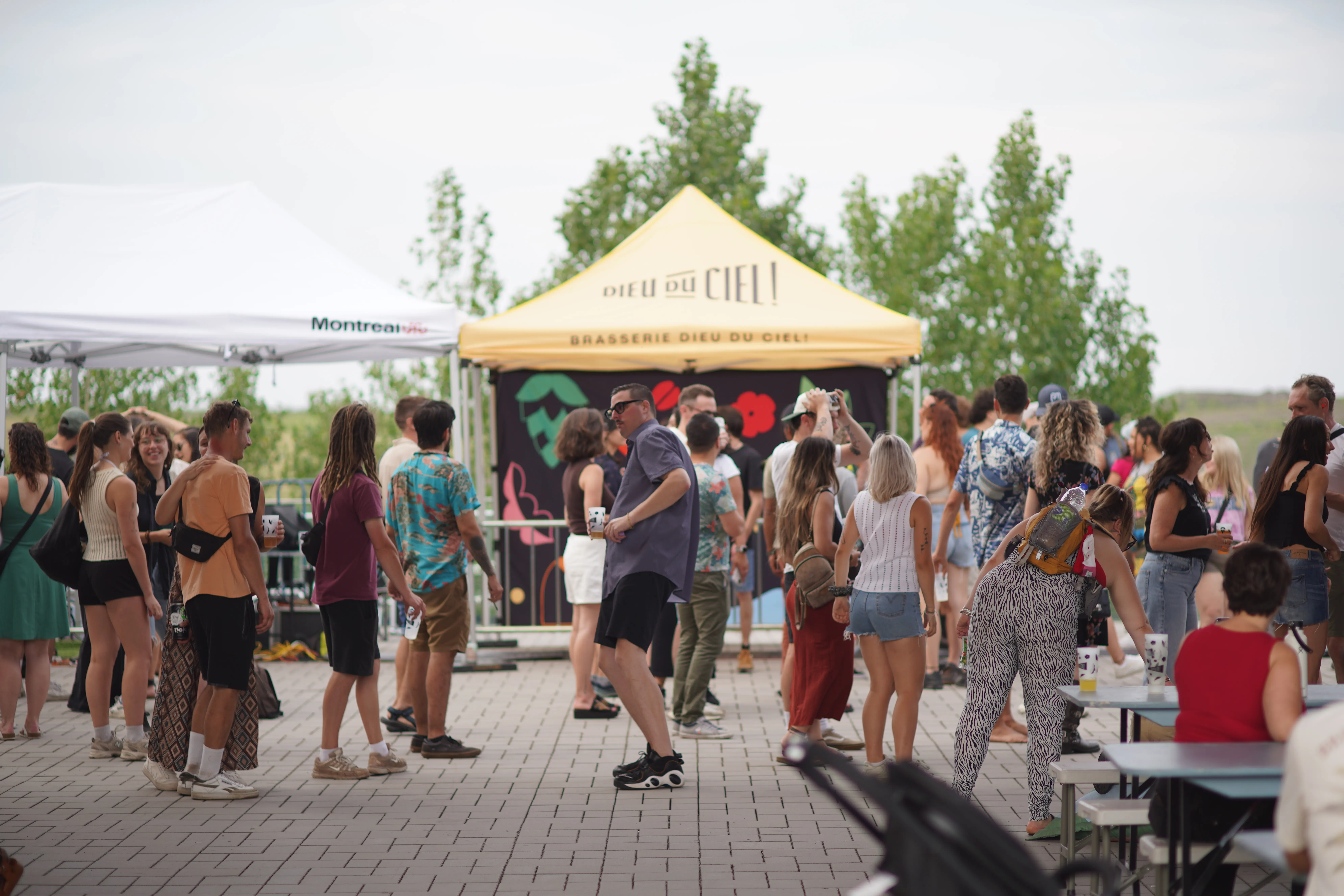 Back To The Roots — édition 2025 — photo 5