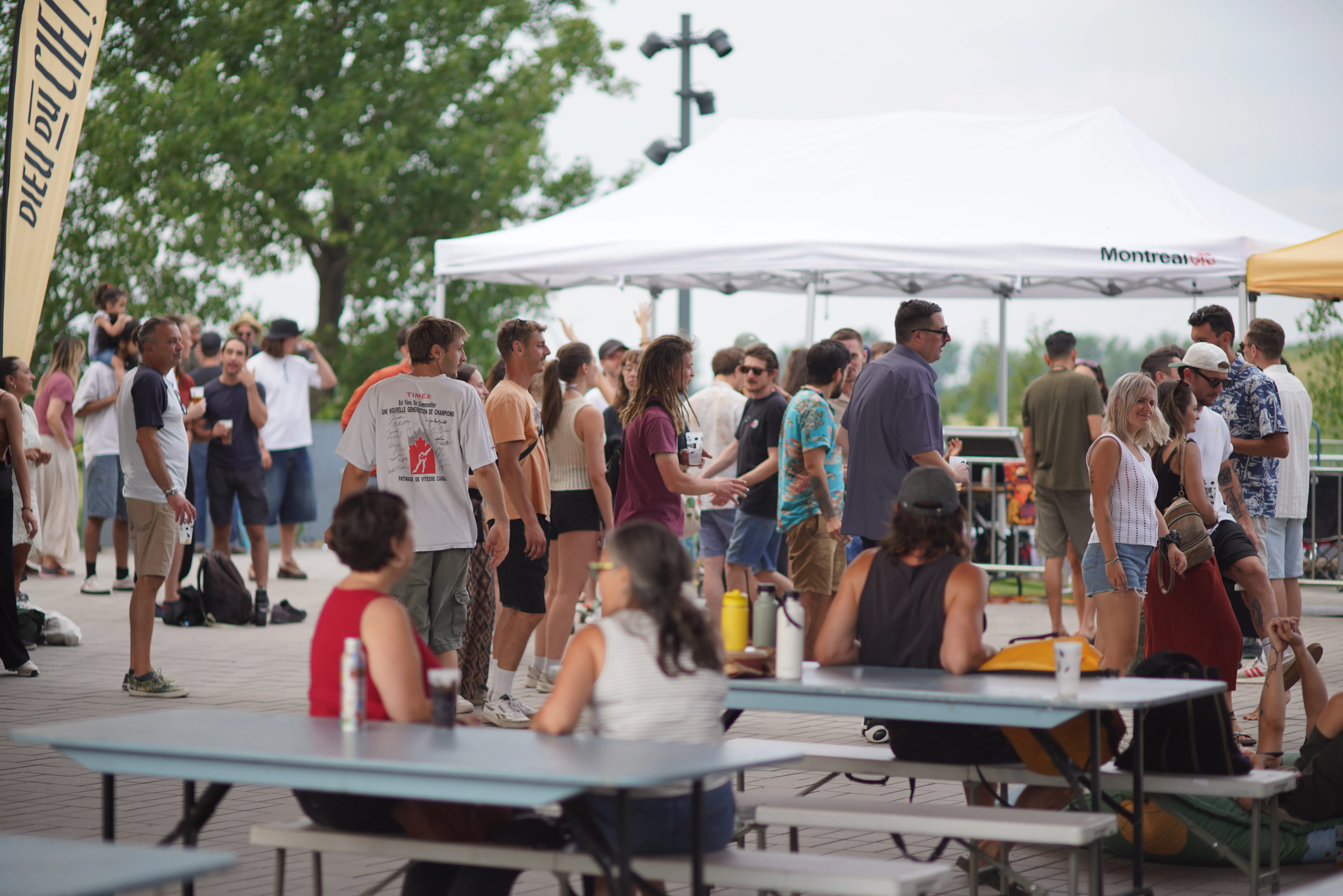 Back To The Roots — édition 2025 — photo 6