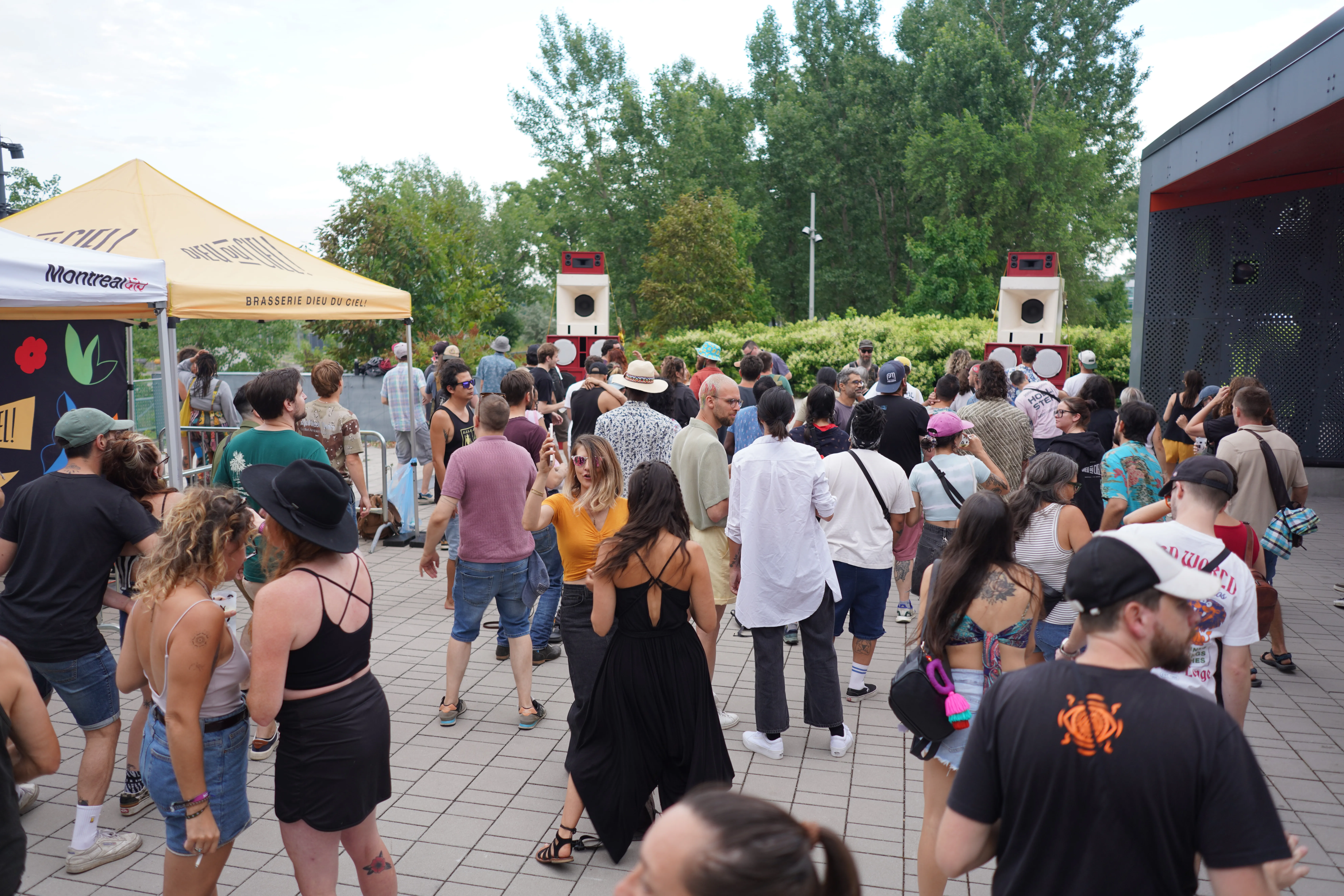 Back To The Roots — édition 2025 — photo 7