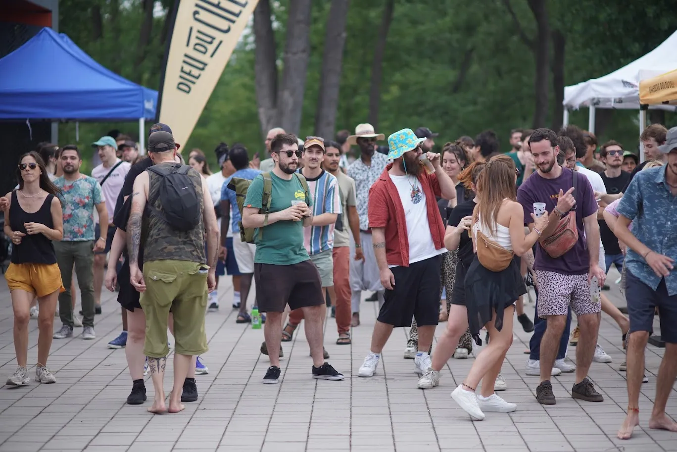 Back To The Roots — édition 2025 — photo 8